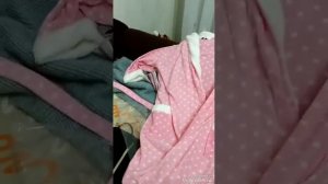 Хмельницкий базар.Цены сегодня.