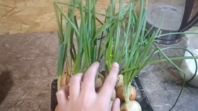 Драники,простой и вкусный рецепт!