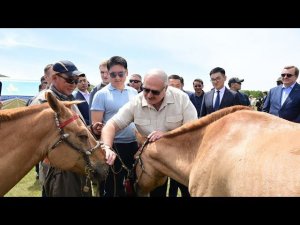 Лукашенко: "Пойдем я тебе "лошадь" подарю более мощную!!!" ПОЛНОЕ ВИДЕО!!!