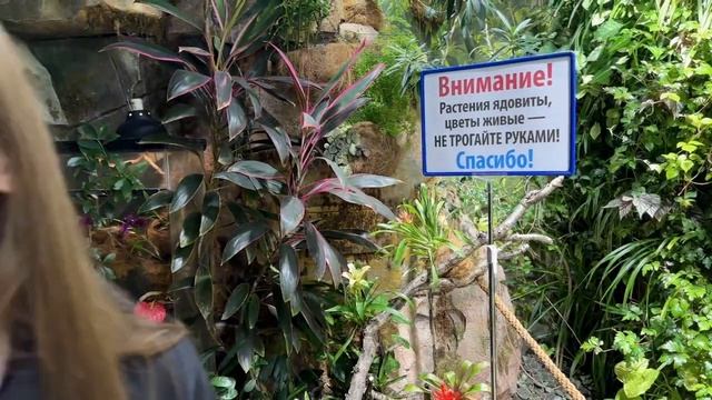 Все ли, так плохо там...Дальневосточный Океанариум.. смотреть онлайн