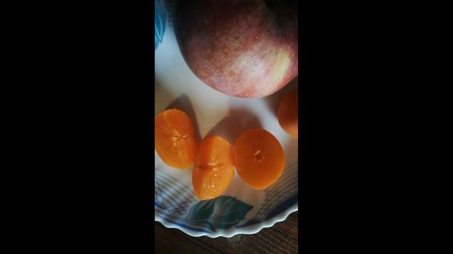 Хурма, первые плоды. Беларусь. смотреть онлайн