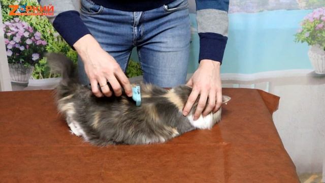 Щетка Furminator S для кошек: Вычесывает много шерсти. Честный обзор и личный опыт применения смотреть онлайн