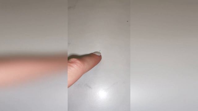Ваши маленькие прыгающие насекомые из ванной или туалета - сеноеды