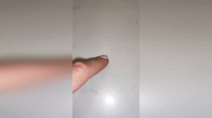 Ваши маленькие прыгающие насекомые из ванной или туалета - сеноеды