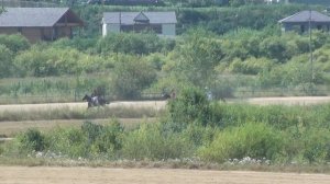 5-й заезд. Лошади рысистых пород 4-х лет и старше. Рысью под седлом, 2400 м