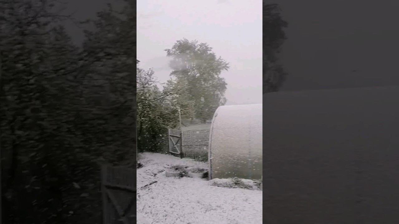 Не замерзнет ли картошка. 3 мая выпал снег, на улице 0 гр, а картошка посажена. Что будет?