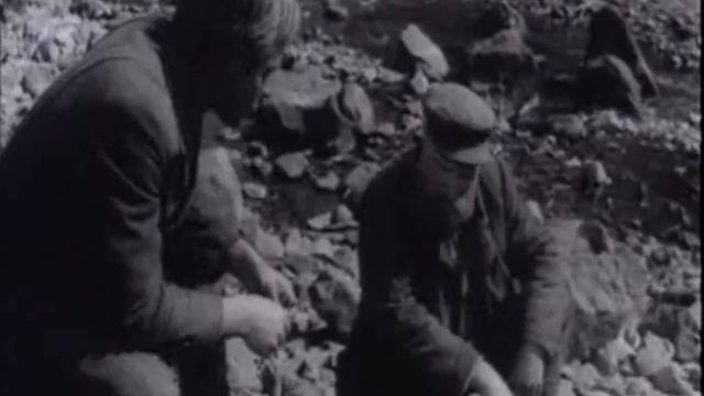 Тайга Ф1 смотреть онлайн