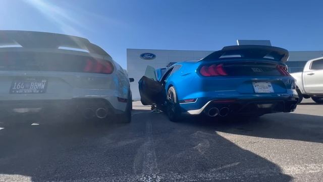 FAKE VS REAL 2021 MACH 1 HANDLING PACKAGE MUSTANG. WHAT'S THE BIG DIFFERENCE & COST?