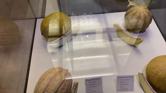 Дарвиновский музей Москва Обзор смотреть онлайн