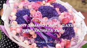 Йинчу денца даггара декъал еш?