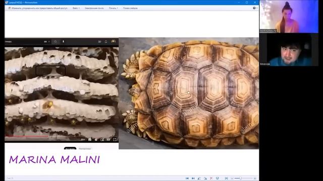 Вячеслав Котляров и MARINA MALINI. 2 часть Наш Виртуальный мир.
