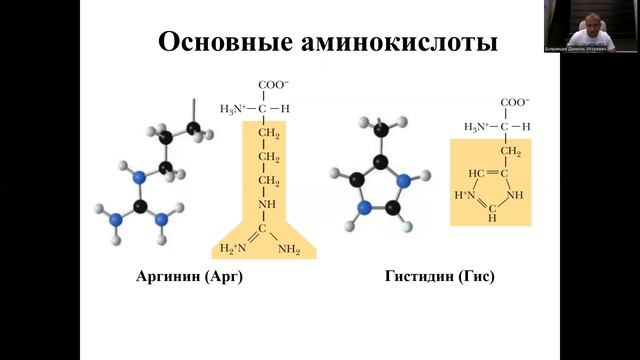 1.1. Аминокислоты  Строение, свойства
