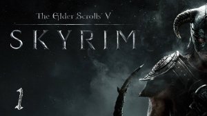 The Elder Scrolls V: Skyrim