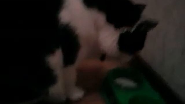 Культурно кушаем! смотреть онлайн