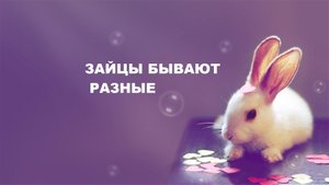 Лоскутное шитьё.Салфетки для посуды.(2022г)