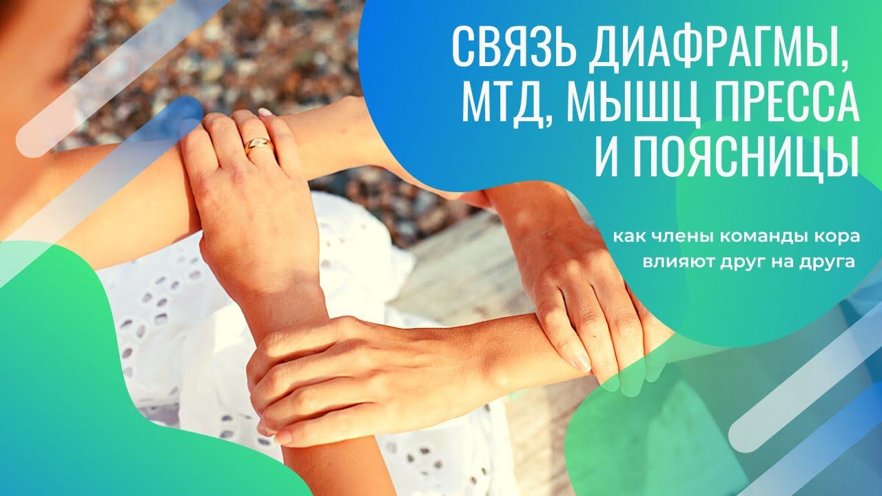 Связь диафрагмы, мышц тазового дна, пресса и поясницы. Как члены команды кора влияют друг на друга?