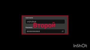 InShot_20240804_180556434.mp4