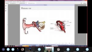 2021 Lecture 2 (Part 2) on Medical Physics