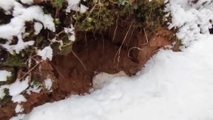 Вскрыл каркасную стену на даче. Всё сгнило? Всё менять?!