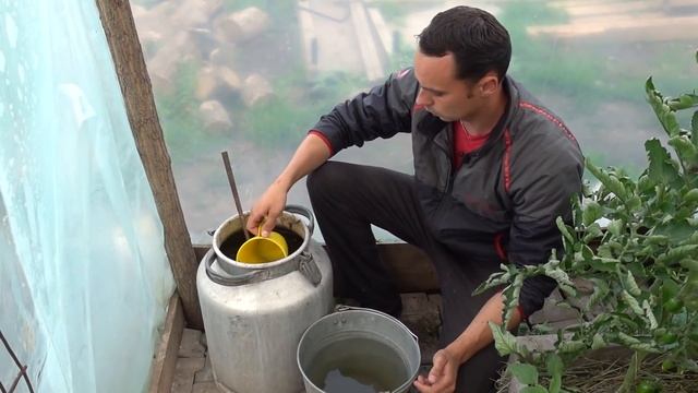 КАК МАКСИМАЛЬНО ДОЛГО ПРОДЛИТЬ ПЛОДОНОШЕНИЕ ОГУРЦОВ смотреть онлайн
