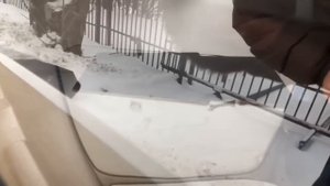 Покупка катера.Выбор катера Fishroad 530HT. Лодочный мотор Evinrude 40