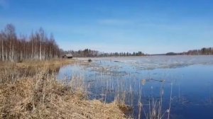 Лодка ОБЬ 1 БОЛОТОХОД "ЧИЖИК"