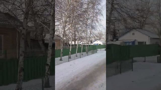 Зима в Макене - целый ряд берёз, ёлочка, сосна, рябина у дома №3 на улице Узловая в ноябре 2021 год