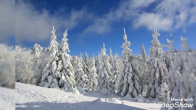 Зимнее настроение.❄️Зимний Лес (Релакс).❄️?//Зимняя сказка!
