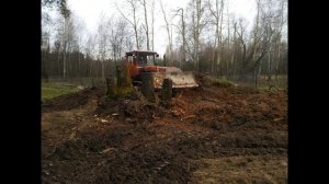 Пень на участке. Корчевание. САМЫЙ НАДЕЖНЫЙ способ.