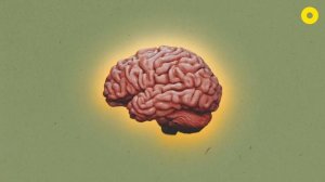 В чем философия Айн Рэнд?