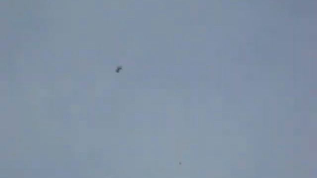 Голубеводы Казахстана Бланжевый Бориса Ильясова смотреть онлайн