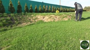 Ryobi OSS 1800 -Rozsiewacz akumulatorowy