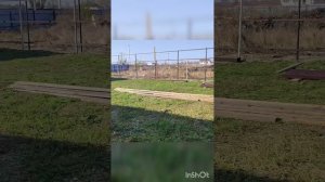 огорождение забор из профнастила высота 3 метра, в процессе и после работы