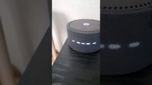 Как разговаривать с Алисой