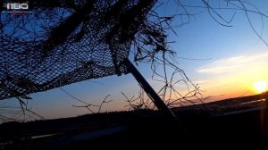 ОХОТА НА ГУСЯ 2022!!! КЛАССНЫЕ НАЛЁТЫ. #охотанагуся