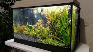 Дополнительный свет в аквариум, фитолампа для растений, обзор #NIK_72