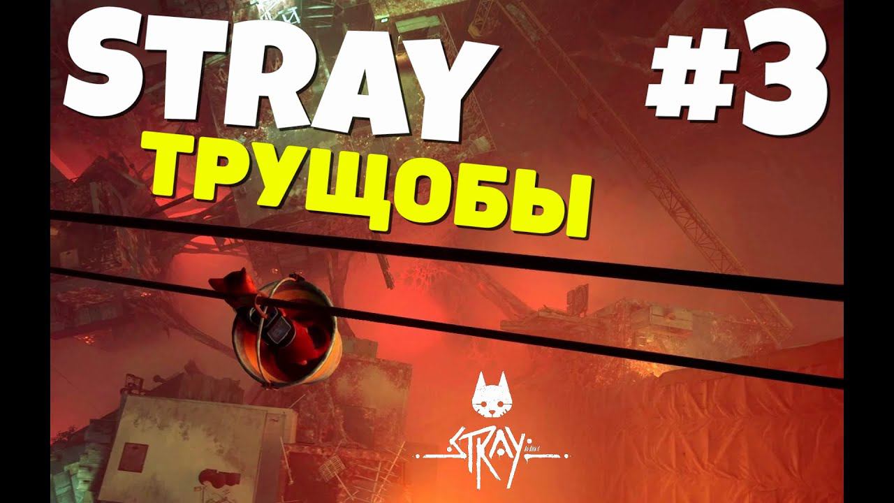 Stray - 6 Жизней сталось.... #3