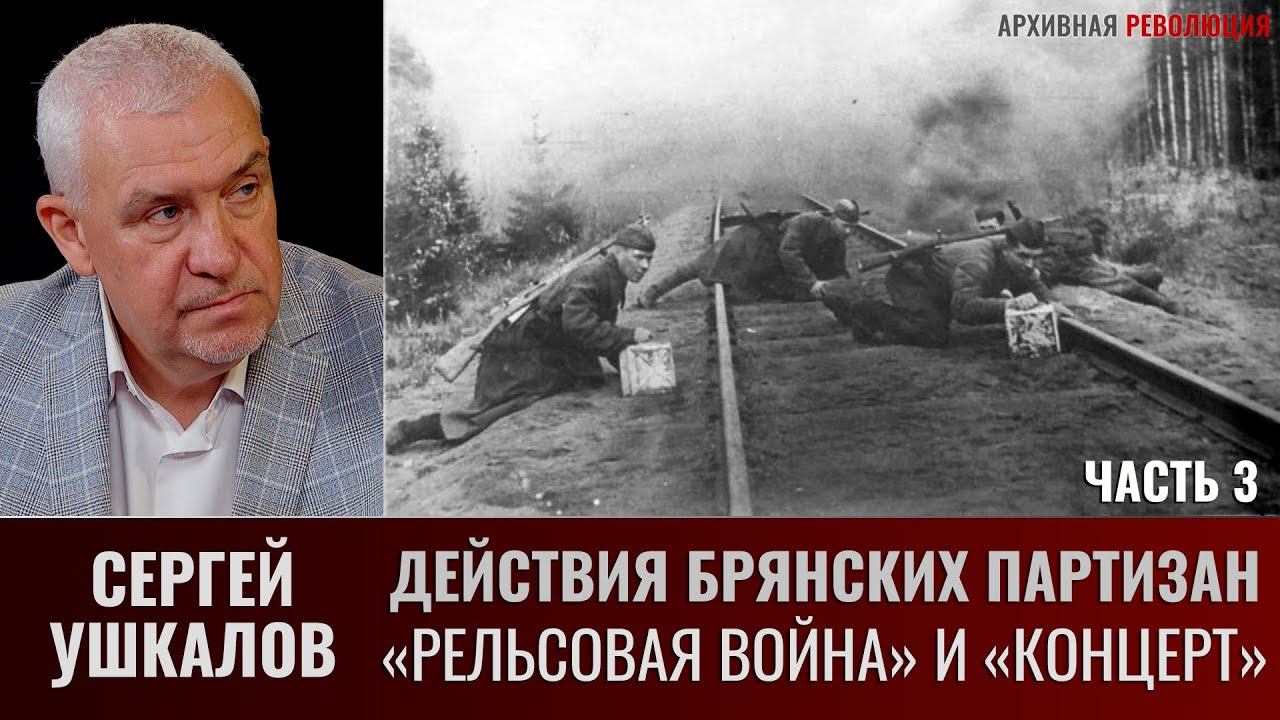 Сергей Ушкалов. Действия брянских партизан в ходе операций "Рельсовая война" и "Концерт". Часть 3