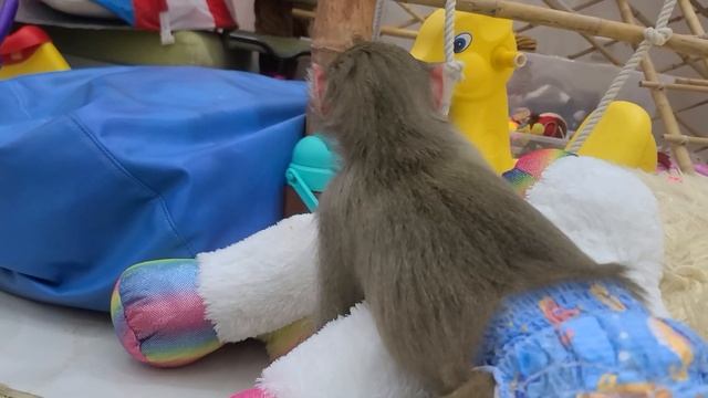 День красных труселей ?!!! Всем хорошего настроения! 06.10.23 @nft_Niki2708 смотреть онлайн