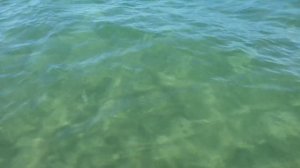 Водонепроницаемый бокс (чехол) для смартфона  из Китая за 4 доллара