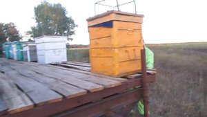 Дым пушка в работе. Обработка от варротоза