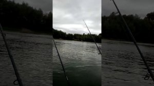 Крепление на лодке пвх для спиннингов и удочек Рыбалка на Десне