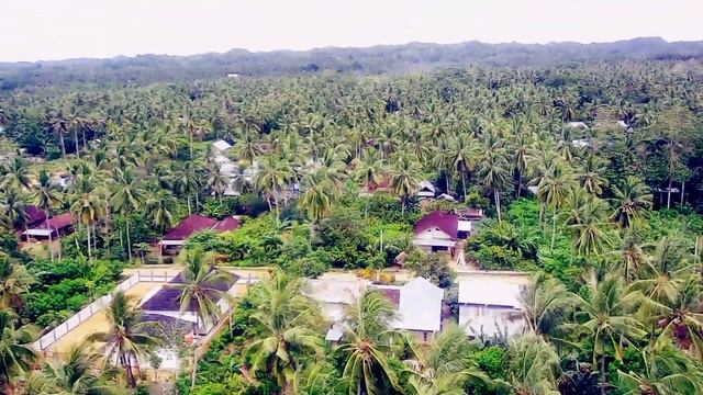 hasil sjrc f22 s смотреть онлайн