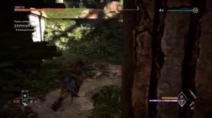 Horizon Запретный Запад_101 Орнамент Длинный Берег.