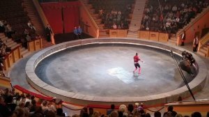 Такого ЦИРКА вы еще не видели! | Лучшие цирковые номера сезона | Гомельский цирк | Гомель 2020