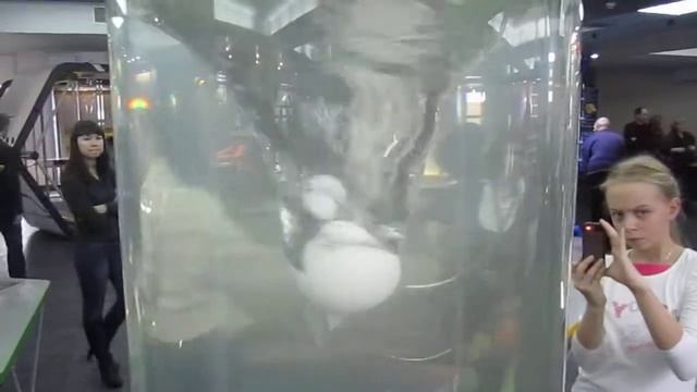 Олег создает черную дыру.... смотреть онлайн