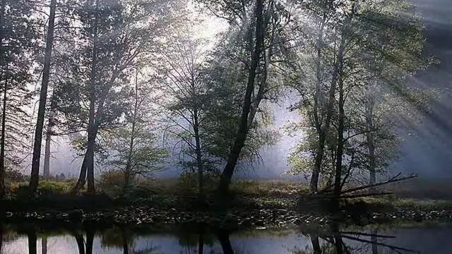 Ein Gleiches von Johann Wolfgang von Goethe смотреть онлайн