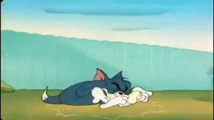 Tom and Jerry - ☠️Painful Compilation☠️