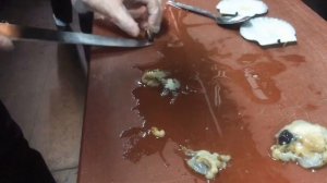 МОРСКОЙ ГРЕБЕШОК?