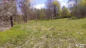 Гута деревенька. Смоленская область, Хиславичский район.